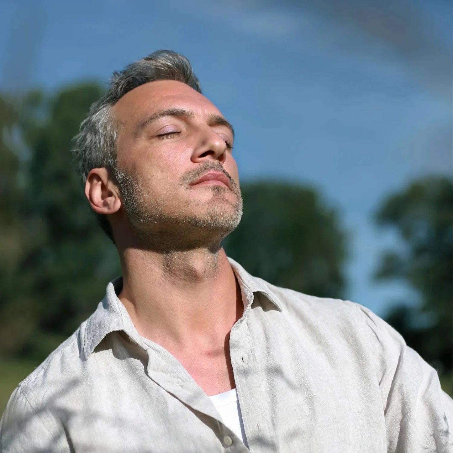 Swiss Spring Performance System